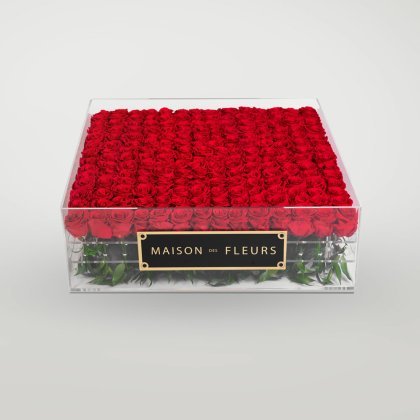 LONG LIFE ROSES